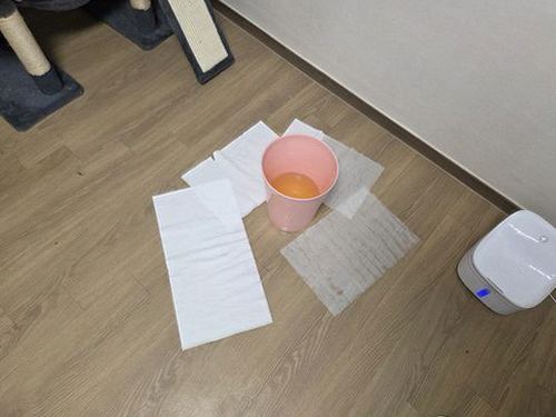 기장군 누수탐지 점검 사진과 보험 서류를 정리한 작업 자료